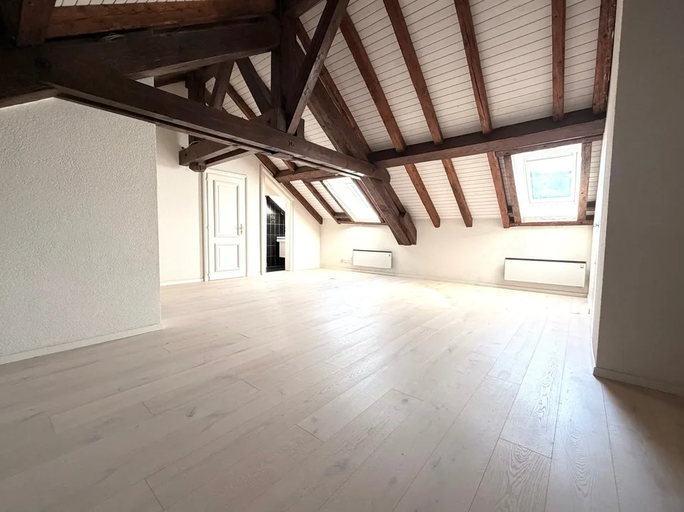 Magnifique duplex spacieux avec mezzanine et loft