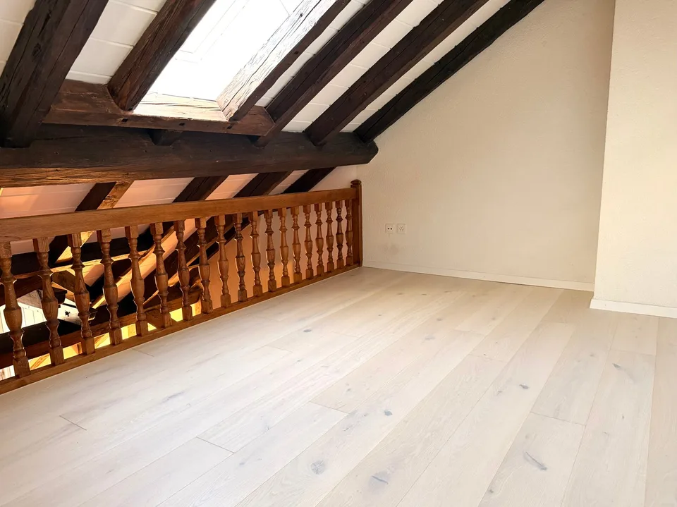 Magnifique duplex spacieux avec mezzanine et loft