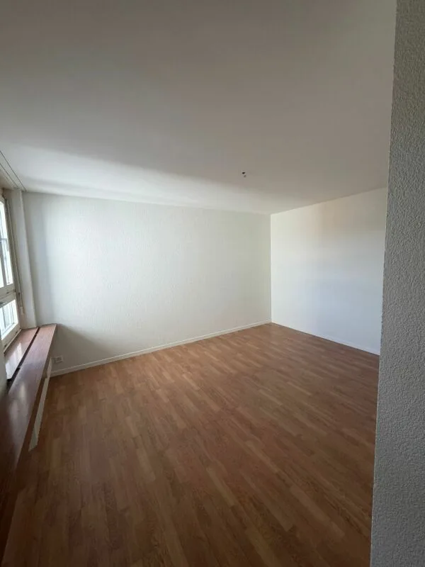 Appartement 4,5 pièces avec vue à couper le souffle à louer immédiatement !
