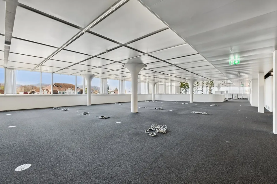 Openspace Büro - Flexibel & Anpassungsfähig, perfekt für Ihr Business!