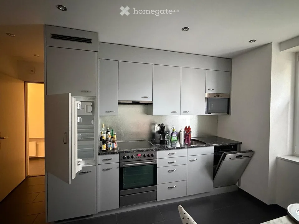 Incantevole appartamento di 2 camere in una posizione tranquilla a Erlinsbach SO
