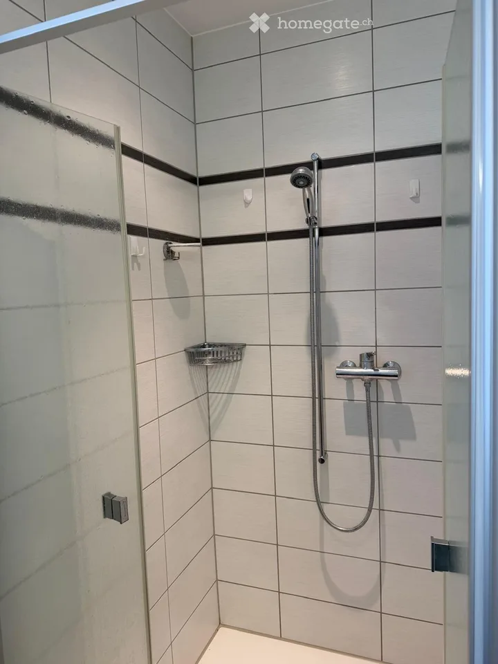 Incantevole appartamento di 2 camere in una posizione tranquilla a Erlinsbach SO