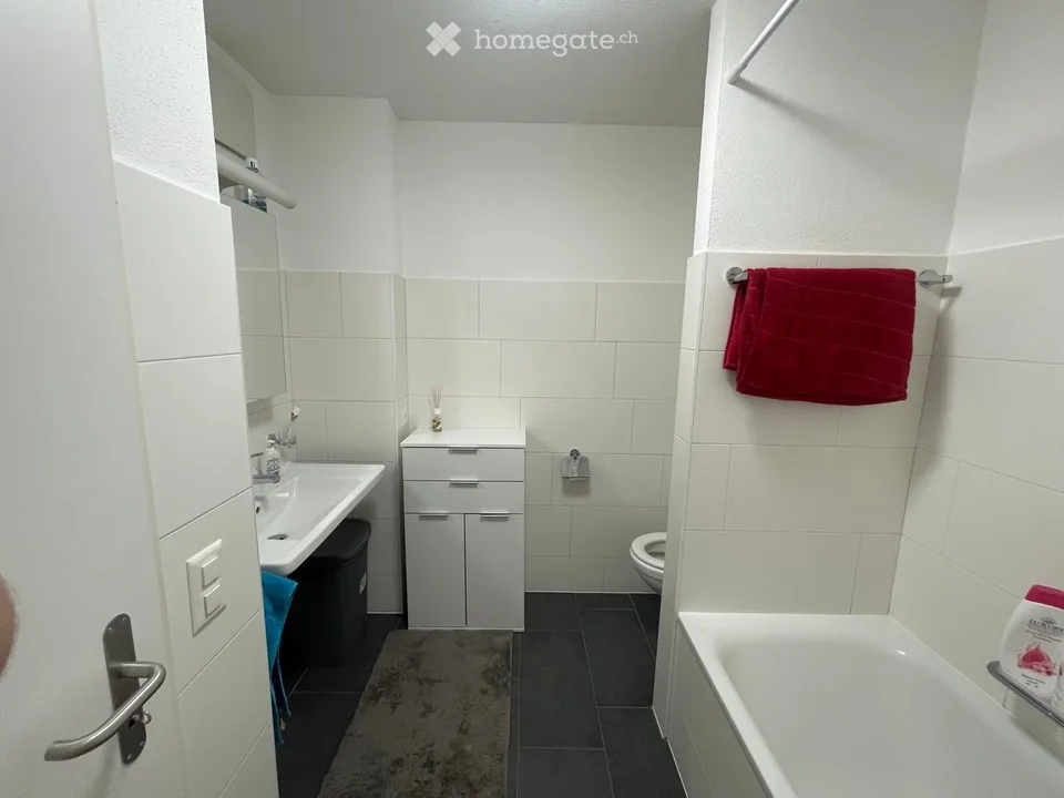 Appartement 2.5 pièces spacieux et confortable