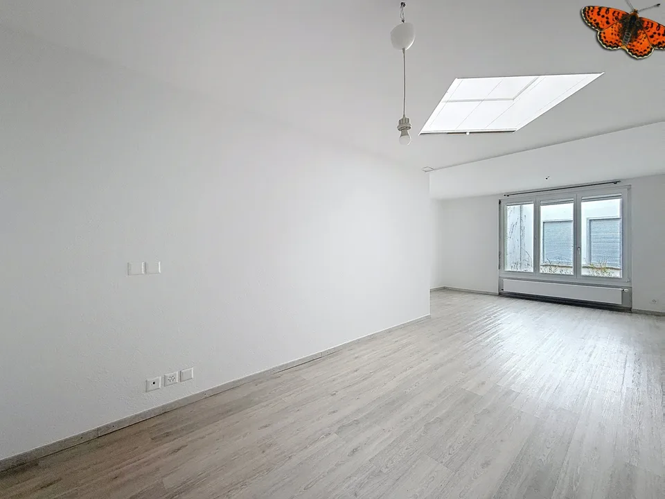 VASTE 4 ½ PIÈCES - Idéal pour une colocation !