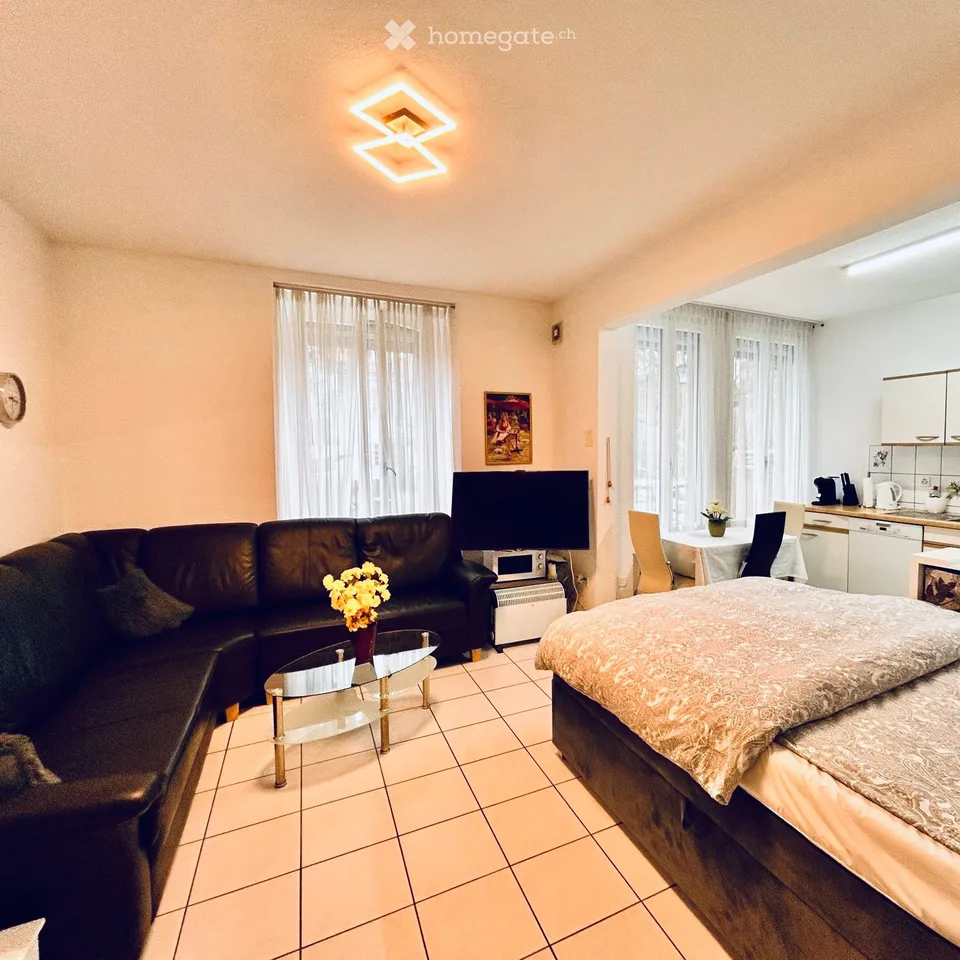 Möblierte 1 Zimmer Wohnung