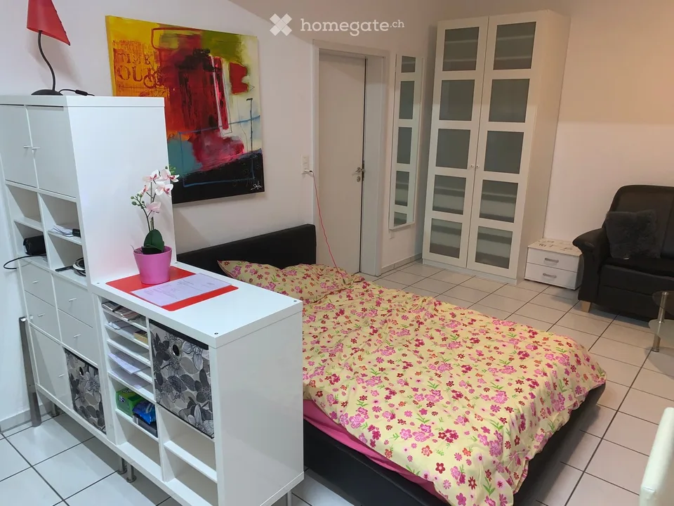Möblierte 1 Zimmer Wohnung