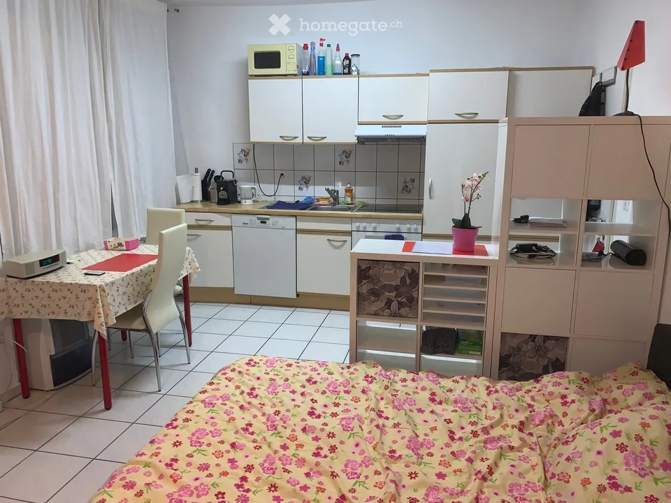 Möblierte 1 Zimmer Wohnung