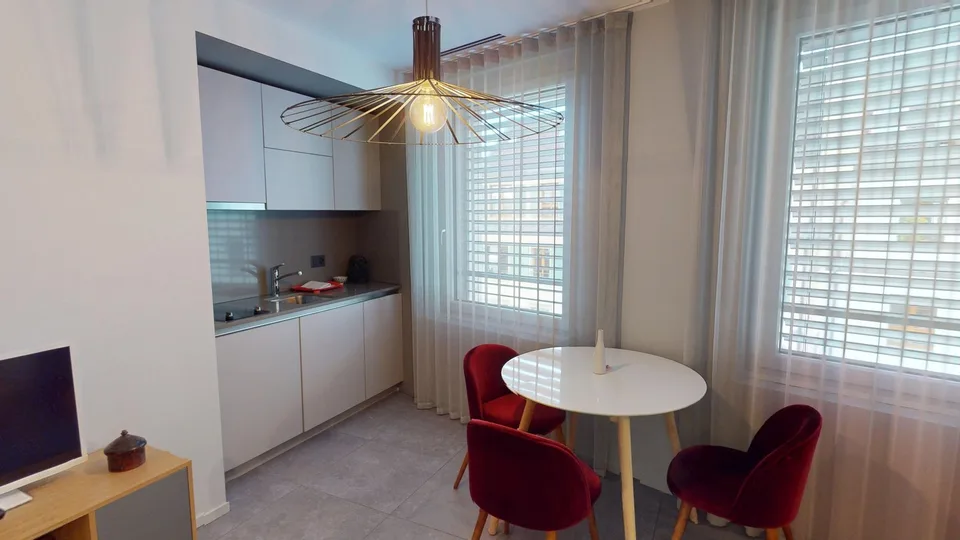 Appartement studio meublé charmant près du lac de Genève (quartier de Cornavin) – photo 11 sur 17