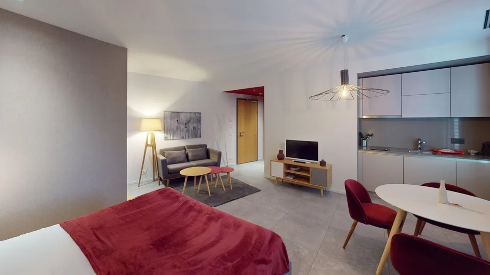 Charming furnished studio near Geneva Lake (Cornavin District)