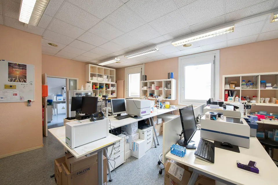 290m2 di uffici al 2° piano del CTN 12 a Plan-les-Ouates – foto 7 di 11