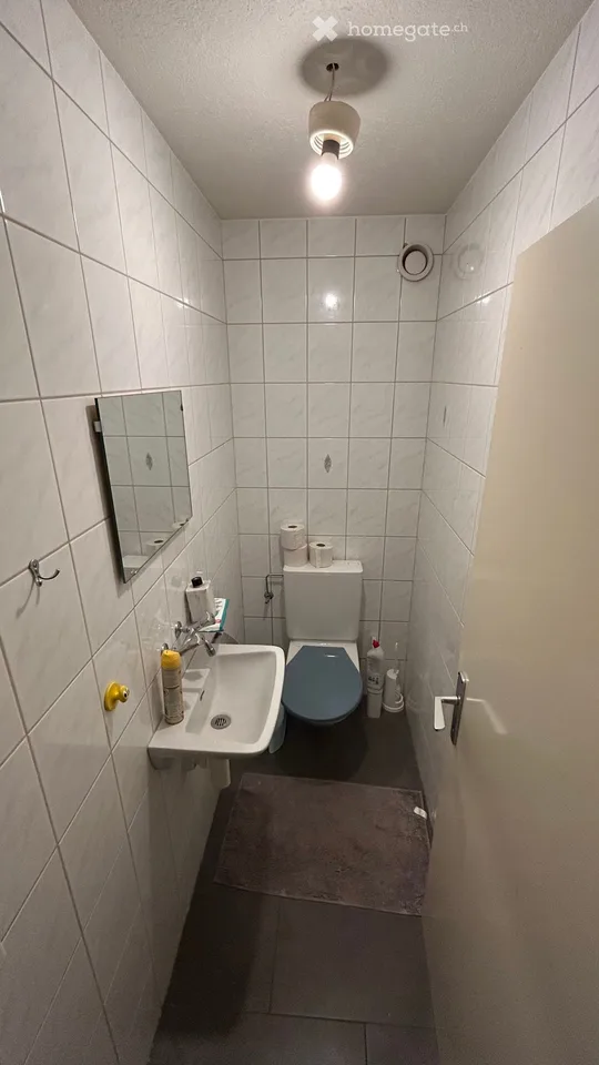 Wohnung 3,5