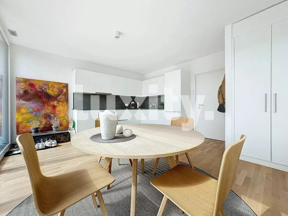 Bel appartement avec grand rooftop meublé