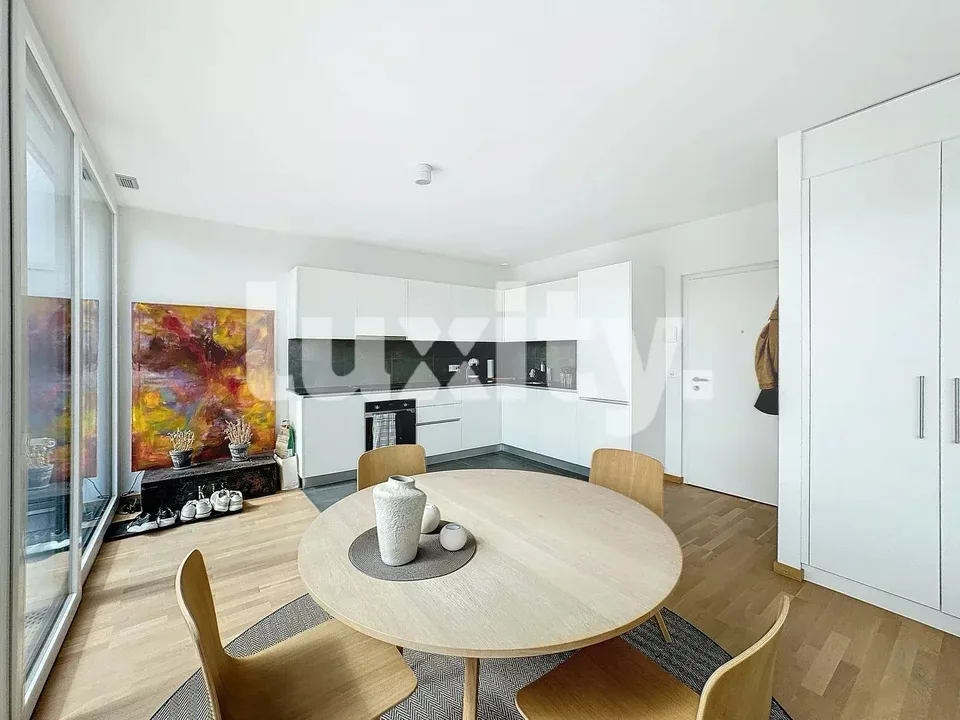 Beautiful apartment with large furnished rooftop