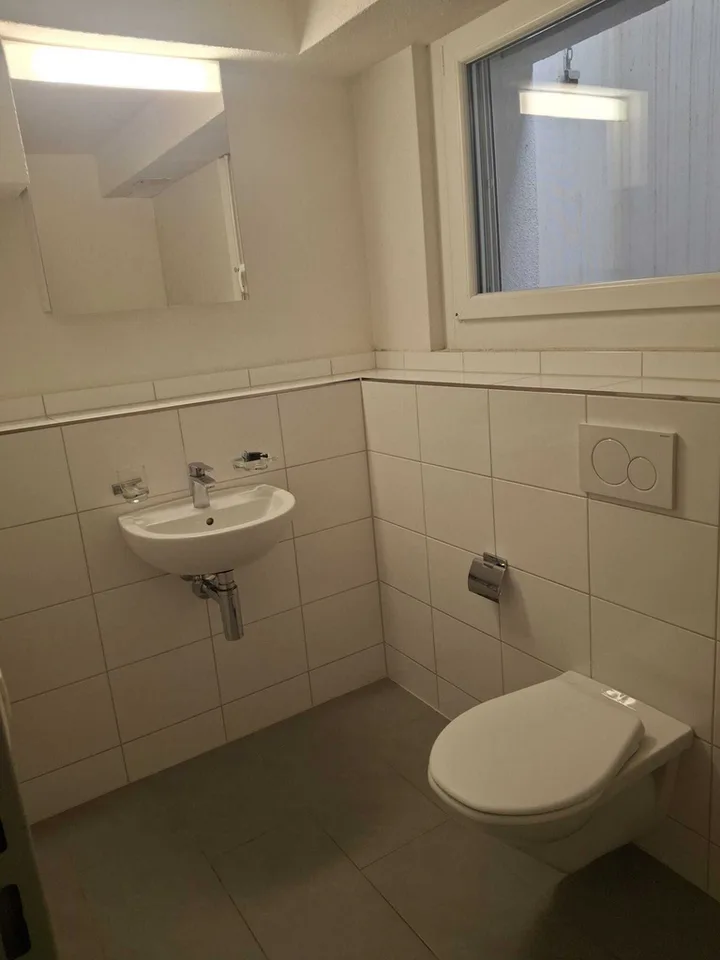 Attractive 2-story commercial space in Affoltern am Albis – photo 10 of 10