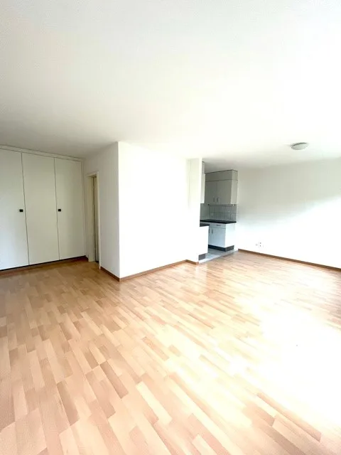 3-Zimmerwohnung in Aegerten