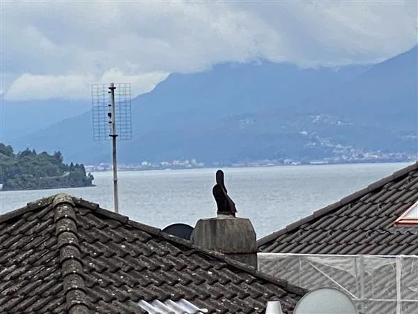 Brissago: Appartement 3 pièces