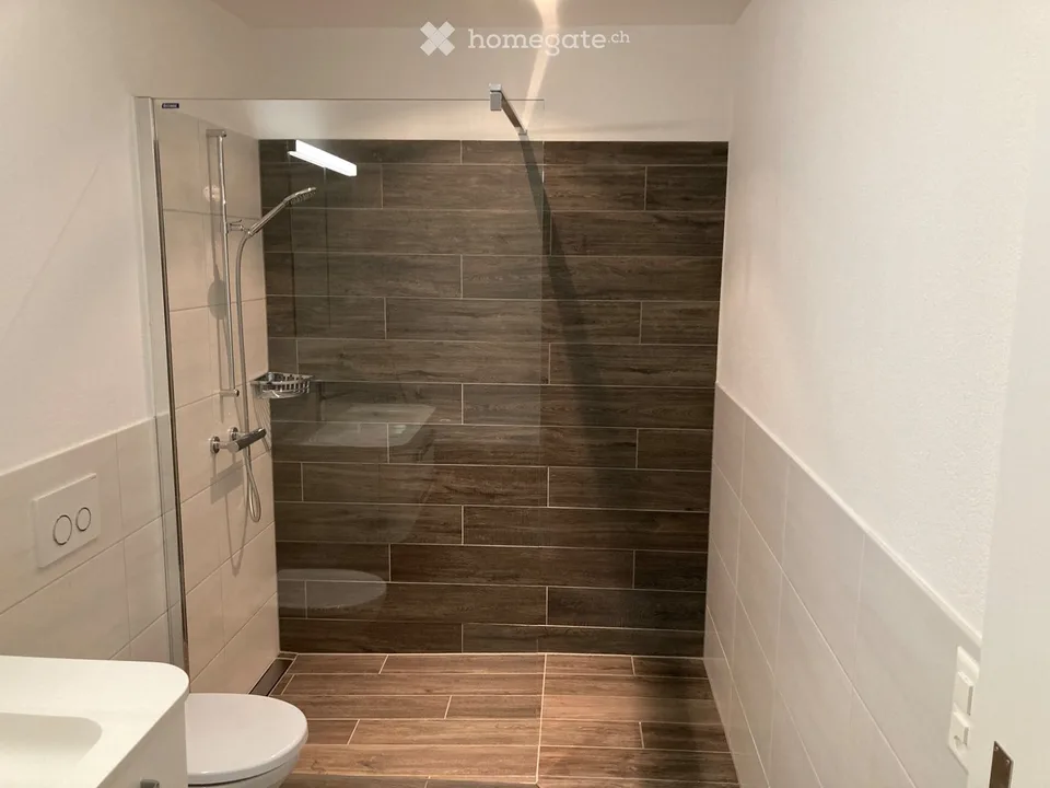 3.5 Zimmerwohnung zu vermieten