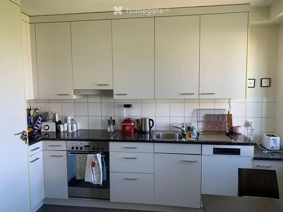 Helle 3.5-Zimmer-Wohnung mit Balkon im ruhigen Zürich Triemli