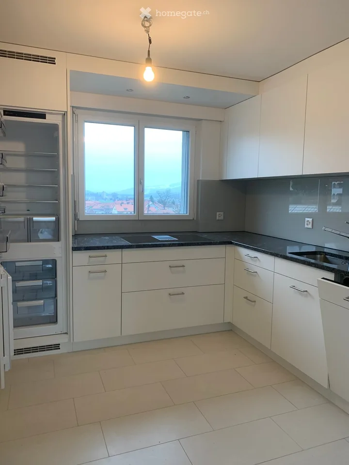 Moderne 3.5-Zimmer-Attikawohnung in Emmenbrücke