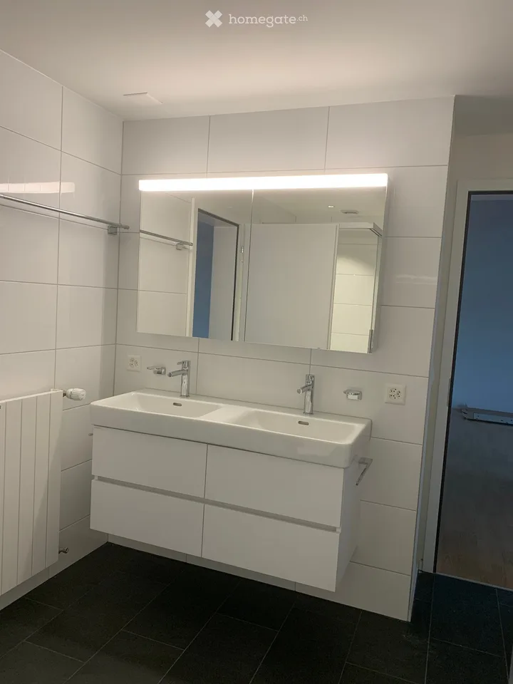 Moderne 3.5-Zimmer-Attikawohnung in Emmenbrücke