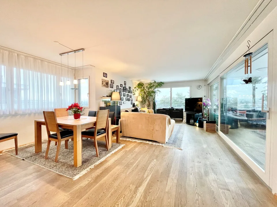 Modernes Terrassenhaus an ruhiger und zentraler Lage in Allschwil