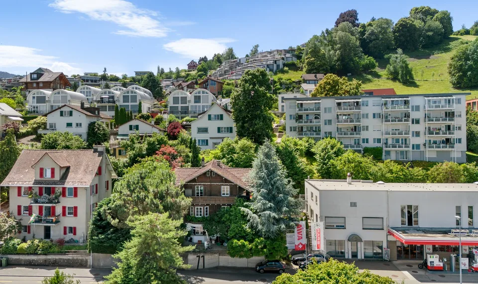 Lake Vista Richterswil