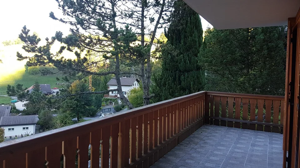 Die Panoramischen von Vounetz