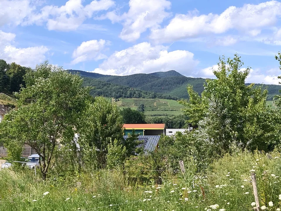 Prächtige und geräumige Villa von sehr hohem Standard mit Gewerbefläche oder anderer Nutzung – Foto 15 von 30