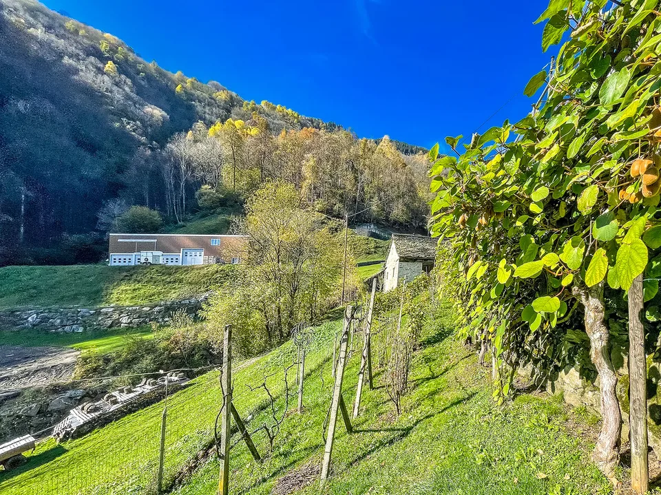 Val di Blenio. Casa tipica ticinese soleggiata, con giardino e garages – photo 8 sur 24