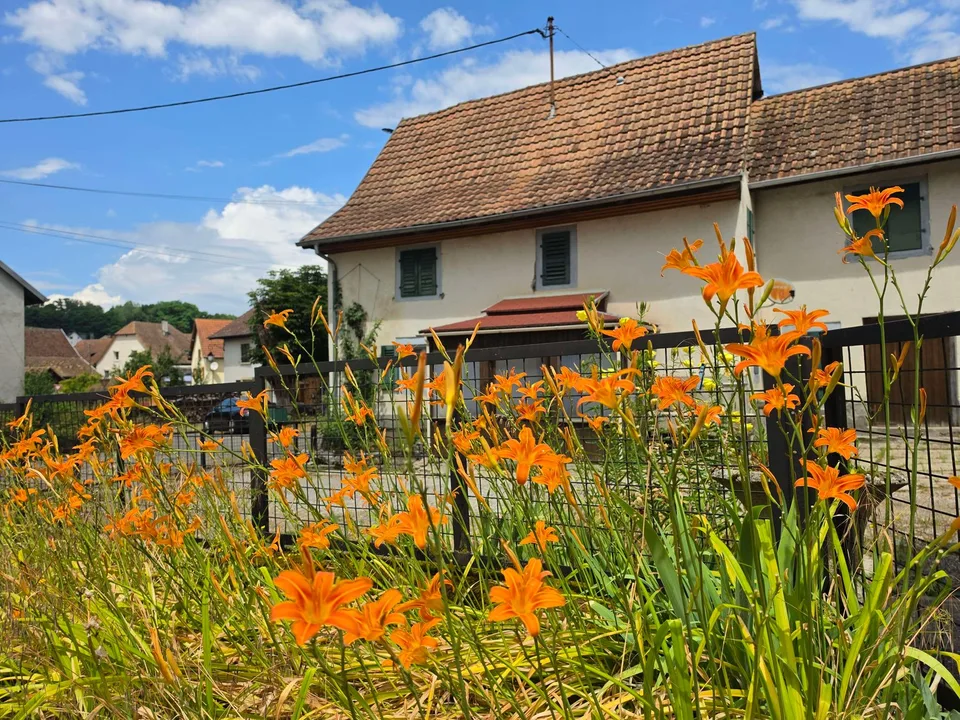 Maison/Ferme à rénover sur 42 ares