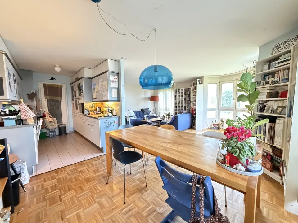 Appartements de 5.5 pièces avec vue dégagée sur le lac