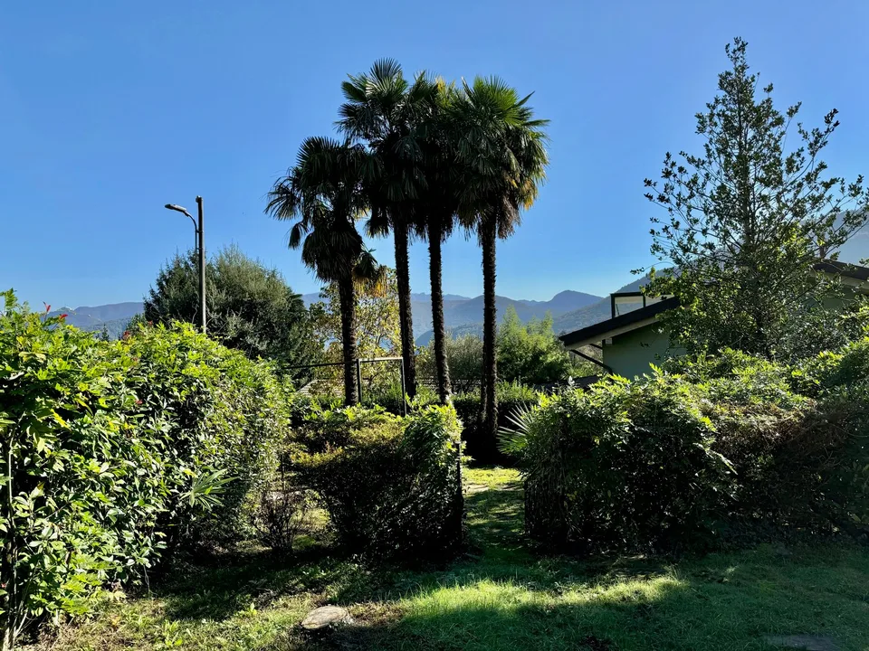 Maison unifamiliale à rénover dans un endroit ensoleillé et calme avec vue sur le lac de Lugano – photo 16 sur 19
