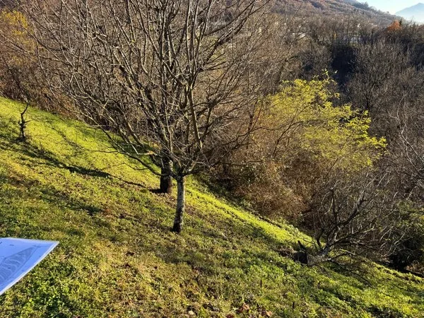 Vendiamo terreno R2 in posizione tranquilla e soleggiata