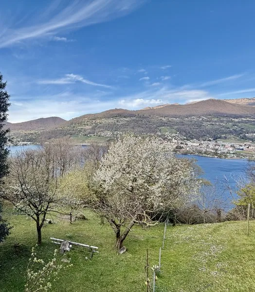 Villa mit Seeblick in Collina d'Oro