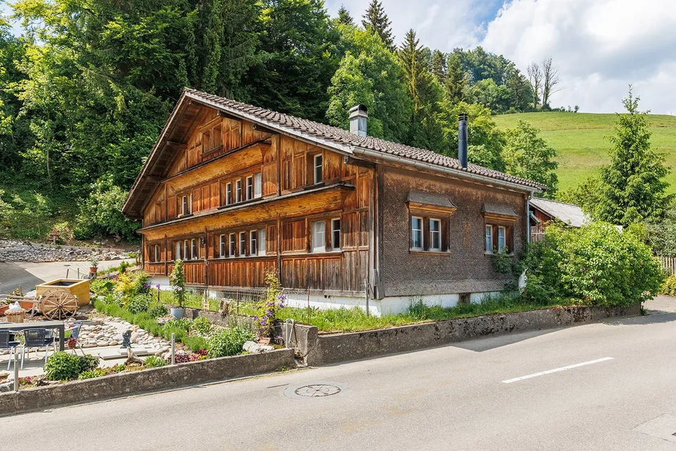 Tätschdachhaus mit Schopf und weitläufigem Grundstück