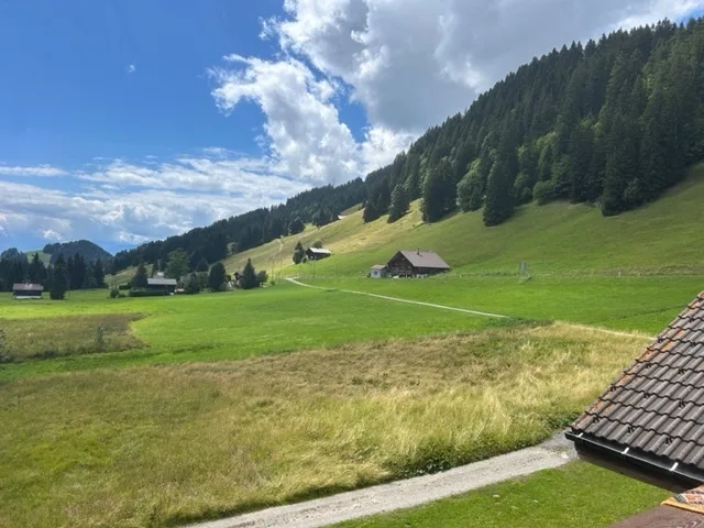 3.5 Zimmer Wohnung in Les Mosses – Foto 6 von 8