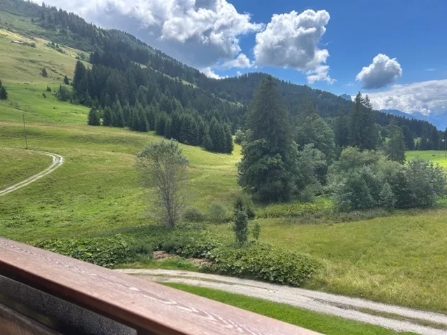 3.5 Zimmer Wohnung in Les Mosses – Foto 7 von 8