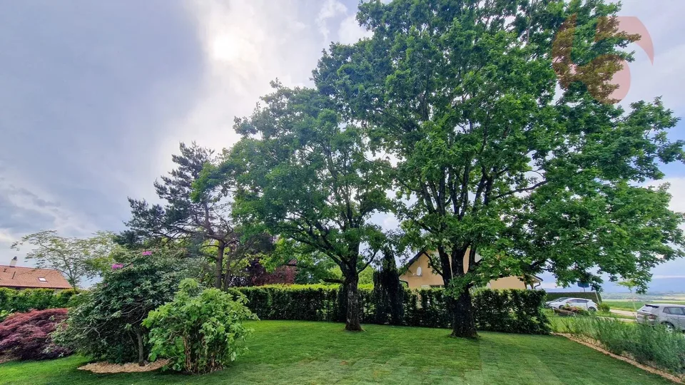Duplex 6,5 Zimmer mit herrlichem Garten und Terrassen in einer architektonisch gestalteten, vollständig renovierten Villa, 300 m von der LEB-Bahnhof in Bercher entfernt