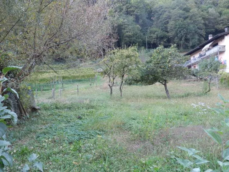 TERRENO PIANEGGIANTE EDIFICABILE R2