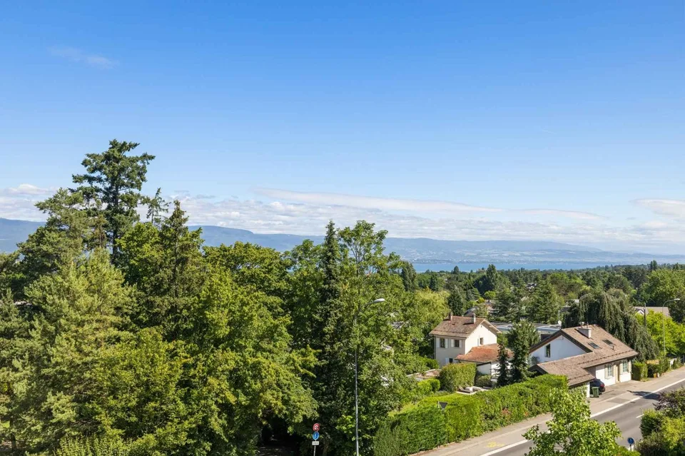 Appartamento di lusso a Vésenaz – foto 6 di 6