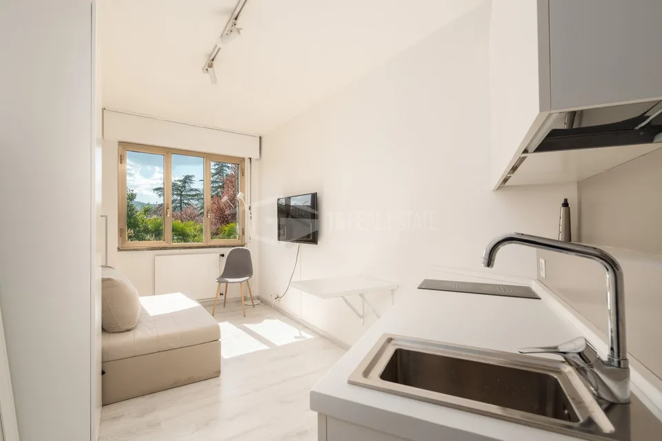 Helles Einzimmerapartment mit 25 m2 und Seeblick