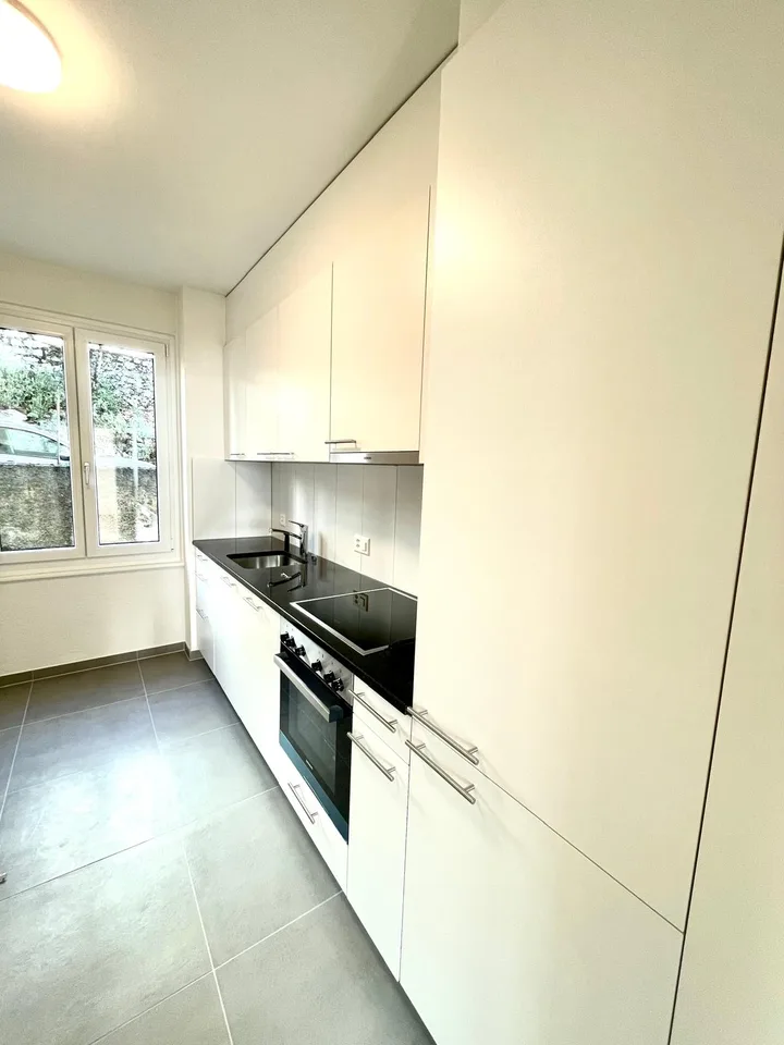 Avec vue sur le lac et les Alpes, magnifique appartement de 3,5 pièces