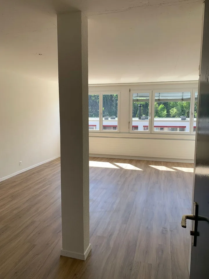 Wohnen an attraktiver Lage in Schaffhausen