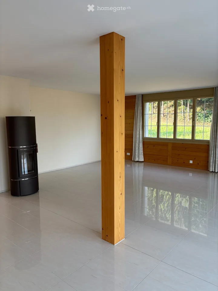 Loft - Dachwohnung
