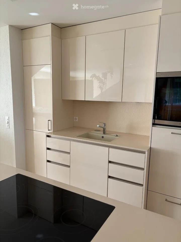 Loft - Dachwohnung