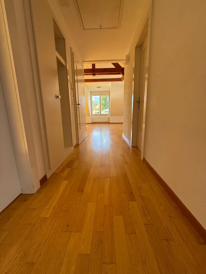 Charmante 2-Zimmer-Wohnung an der Rieterstrasse in Zürich 8002 – ab sofort verfügbar!