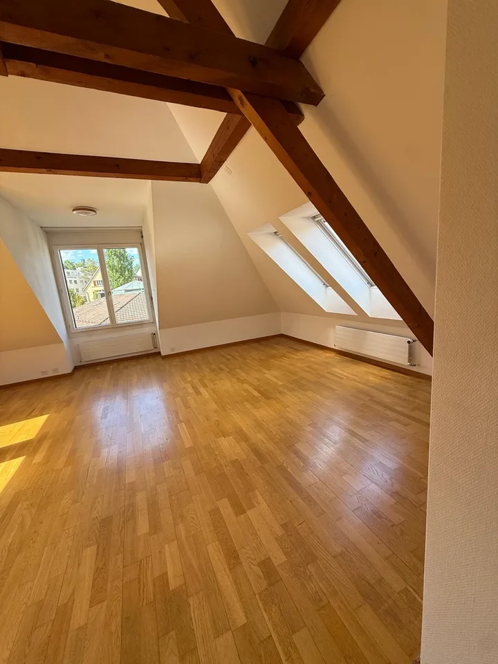 Charmante 2-Zimmer-Wohnung an der Rieterstrasse in Zürich 8002 – ab sofort verfügbar!