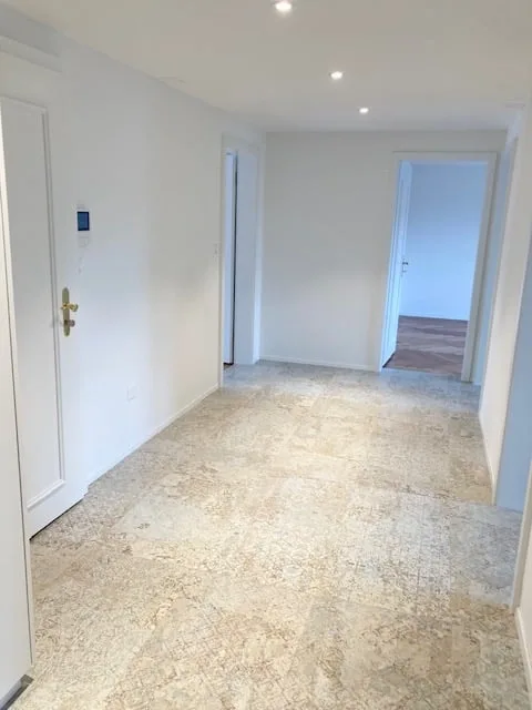Appartement de charme rénové de 4,5 pièces dans un immeuble ancien avec balcon au centre de Herisau