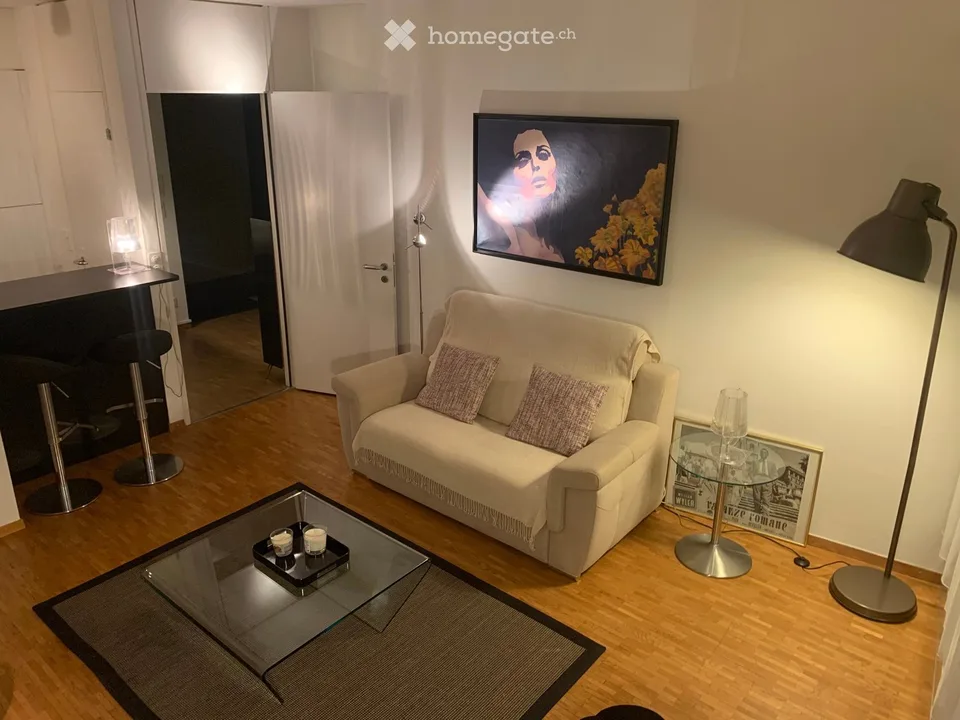 Zu vermieten, Superbes möbliertes Apartment