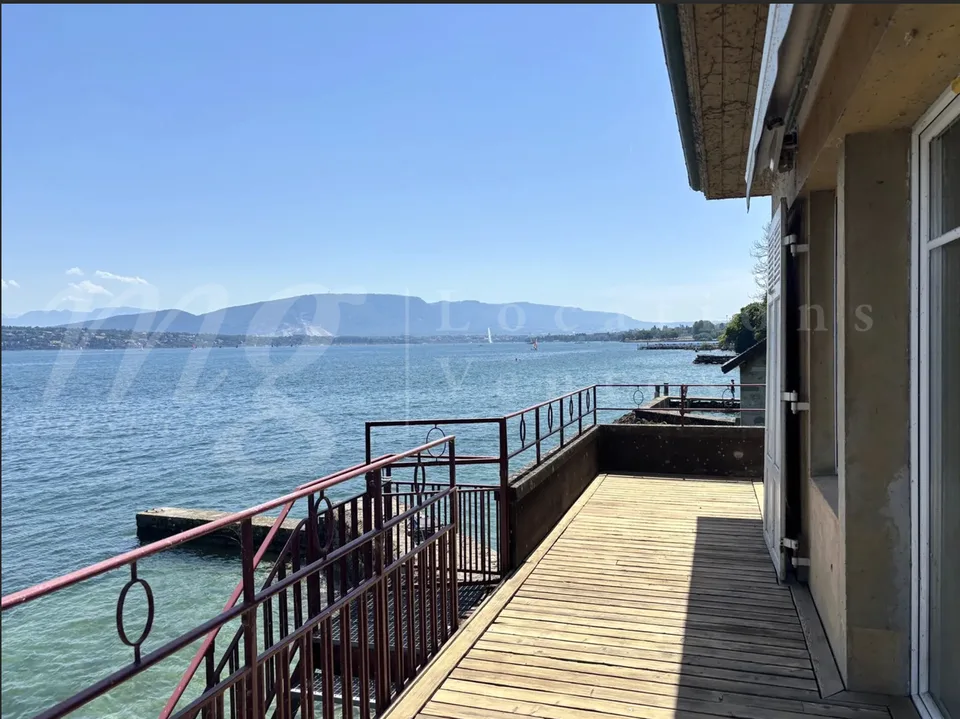 A DREAM !!! PIED DANS L'EAU !!!! TRES BELLE MAISON RENOVEE AVEC LARGE TERRASSE - VUE LAC, PONTON ET PLACE BATEAU